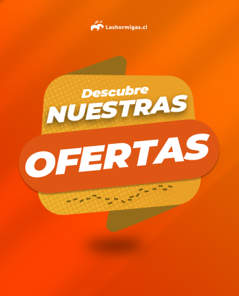 las mejores ofertas en lashormigas.cl